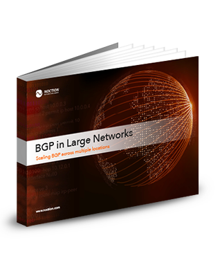 bgp in large networks download