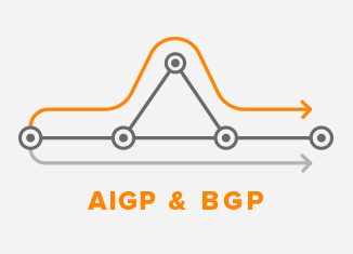 Accumulated IGP and BGP